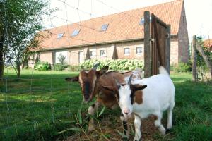 Vakantiehuis Hof te Voorde