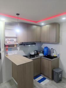 kurt transient house