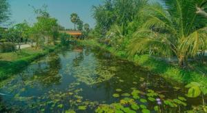 OYO 527 Tanfa Resort