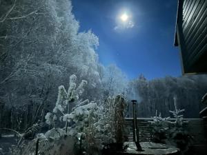 Morski Klimat Sasino domki z balią i kominkiem