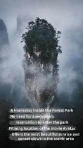 PeakMist Retreat Inside ZhangJiaJie Forest Park