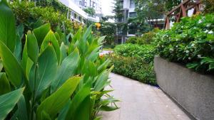 Căn hộ Diamond Centery Tân Phú