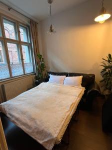 Klimatyczny apartament na 6 osób 1 sypialnia, 2 pokoje, 2 toalety, światłowód, Stare Miasto Toruń