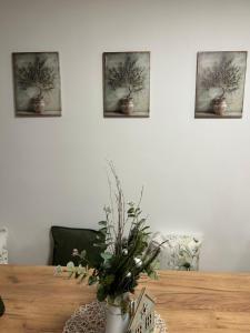 Apartment nad Metují