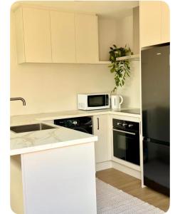 Modern Alpine Studio