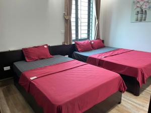 Ha Giang SkyPath Hostel & Tours