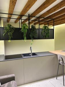 Canal View Boutique Apartment