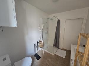 design appartement in Bruxelles center