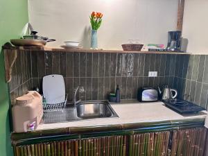 The Green House Port Barton