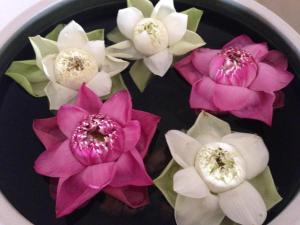 Maison Arnica Hotel and Restaurant