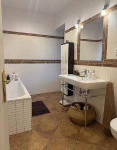 Beautiful view on the Prague castle close to the centre