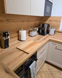 Markowicz Alpine House