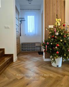 Markowicz Alpine House