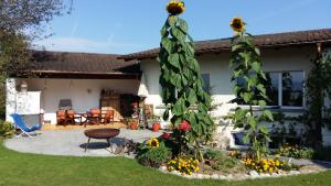 ruhige Zimmer in Privathaushalt, vegetarisch