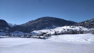 Ferienwohnung Bergleuchten