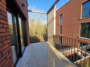 Waterloo Downtown Park