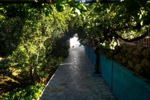 Climbing House Kalymnos Greece