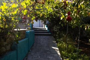 Climbing House Kalymnos Greece