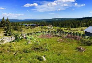 Magiske Vinterdage I Sjusjøen