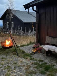 Magiske Vinterdage I Sjusjøen