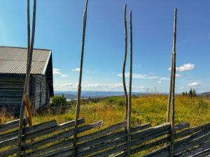 Magiske Vinterdage I Sjusjøen