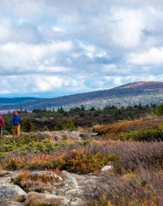 Magiske Vinterdage I Sjusjøen