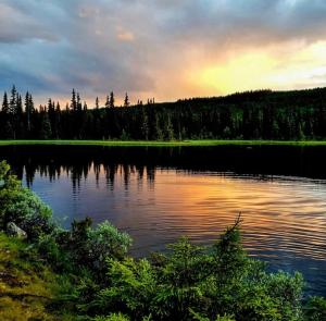 Magiske Vinterdage I Sjusjøen