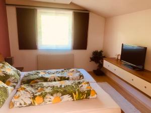 Wohnung mit wundervollem Bergpanoramablick