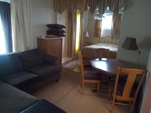 Efficiency Apt - Airport and UofR at Strong Hospital Area - Professionals Welcomed