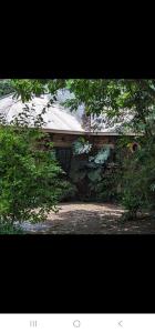 Arusha Holiday Safari