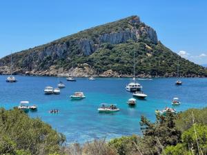 Comfort e panorama mozzafiato a Golfo Aranci img30