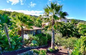 Finca Tenerife - Traumblick, tropischer Garten, viel Platz & Ruhe