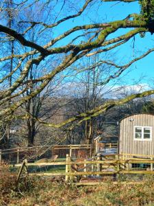 Shepherds hut at Rosewood House