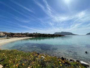 Comfort e panorama mozzafiato a Golfo Aranci img35