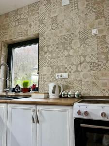 Ćilibar Stara planina