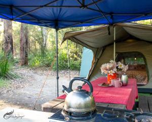 WA Wilderness Camping Experience