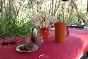 WA Wilderness Camping Experience