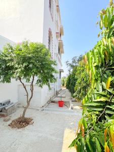 Mithijhora Village Homestay