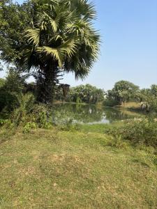 Mithijhora Village Homestay