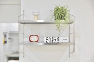 Cozy & Light-Filled, Your Most Wishlisted Travel