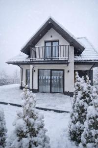 Markowicz Alpine House