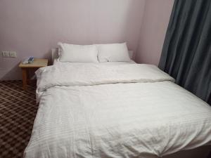 Annapurna Himdrishya Pokhara