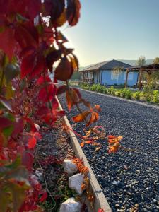 Izabella Vendégház