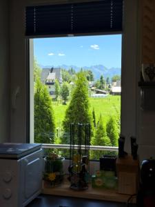 Piękne Apartamenty Biały Dunajec , Jacuzzi , Sauna, Darmowy parking, Kominki w apartamentach, Widok na góry