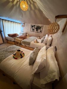 Peaceful Luxury Camp