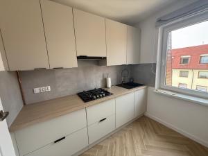 Apartament Przy Palmiarni