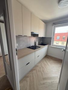 Apartament Przy Palmiarni