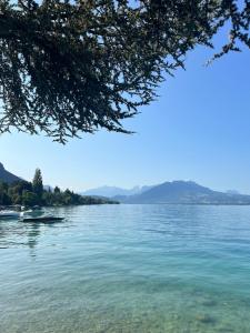 Cocoon in the Heart of Annecy & very close to the Lake