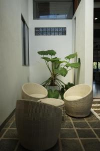 Cinnamon Villa Galle