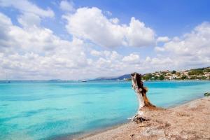 Apartment Voramar Alt in Alcudia